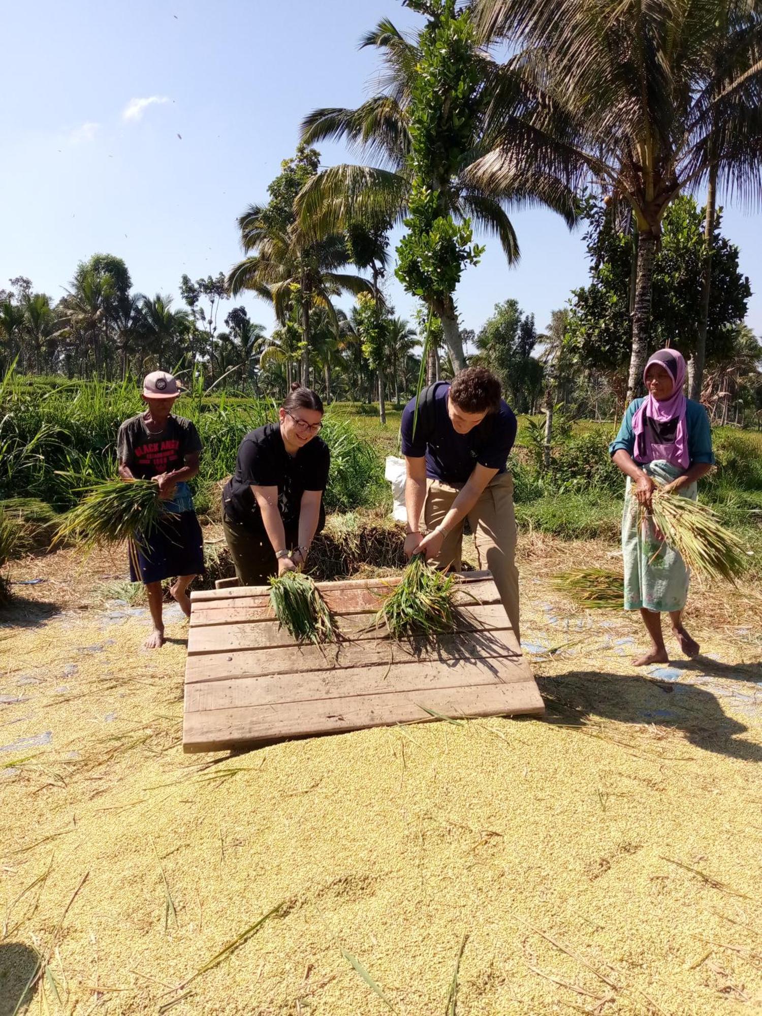 Syaqila Homestay Lombok 特特巴图 外观 照片