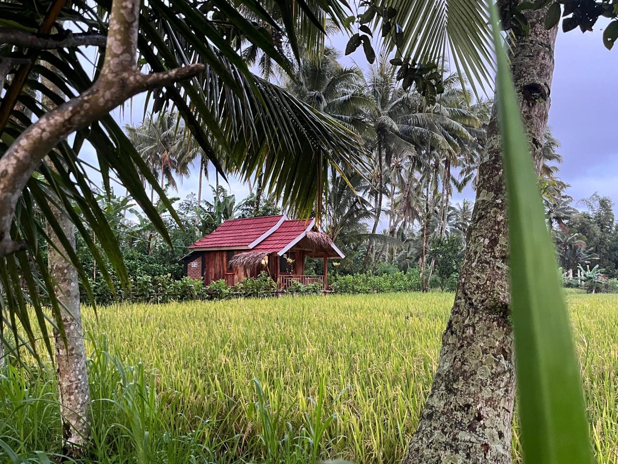 Syaqila Homestay Lombok 特特巴图 外观 照片
