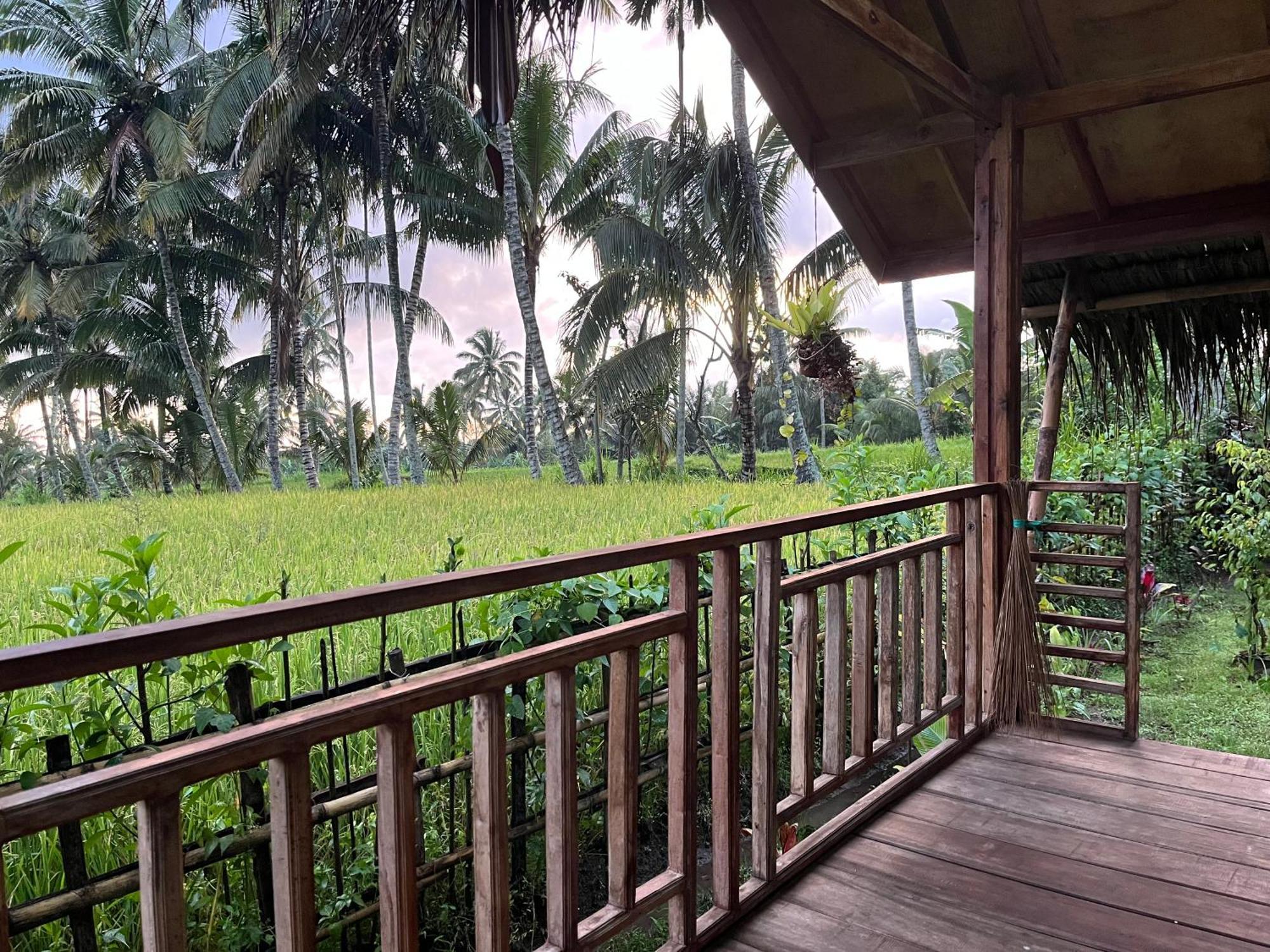 Syaqila Homestay Lombok 特特巴图 外观 照片