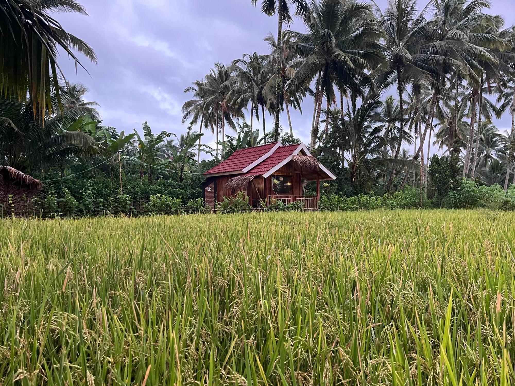 Syaqila Homestay Lombok 特特巴图 外观 照片